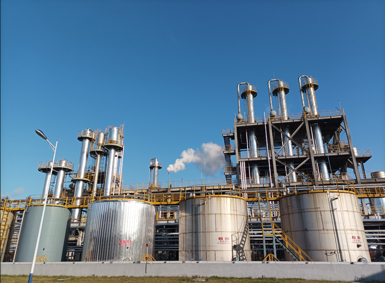 Chemical Plant Project Overview