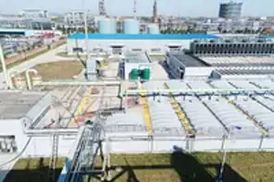 shandong-fulltime-blackcat-120000tpa-deep-processing-of-neutral-phenol-salt-factory.jpg