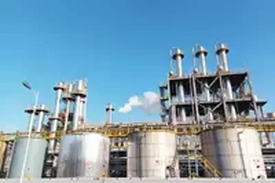 shandong-fulltime-blackcat-120000tpa-deep-processing-of-neutral-phenol-salt-suppliers.jpg