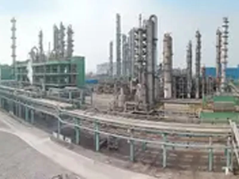 Tangshan Zhonghao 4000TPA Dioxolame Project